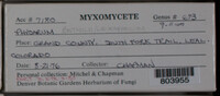 Image Associated With the Occurence